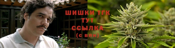 молекула духа Карпинск