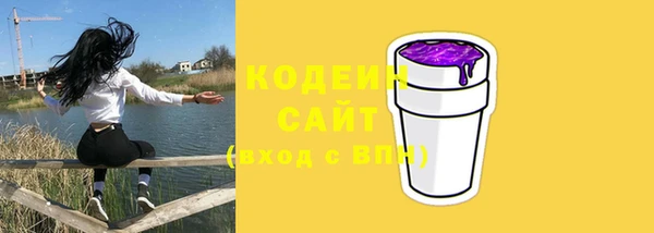 молекула духа Карпинск