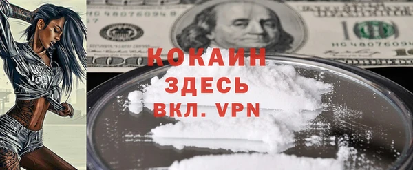 молекула духа Карпинск