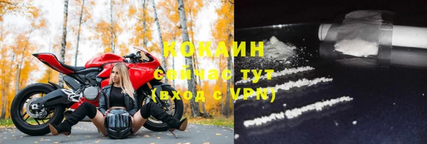 молекула духа Карпинск
