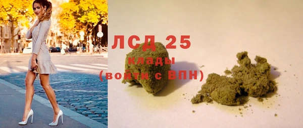 молекула духа Карпинск