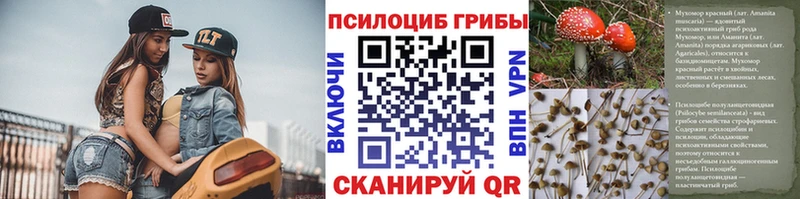 Купить  Осинники  Псилоцибиновые грибы GOLDEN TEACHER 